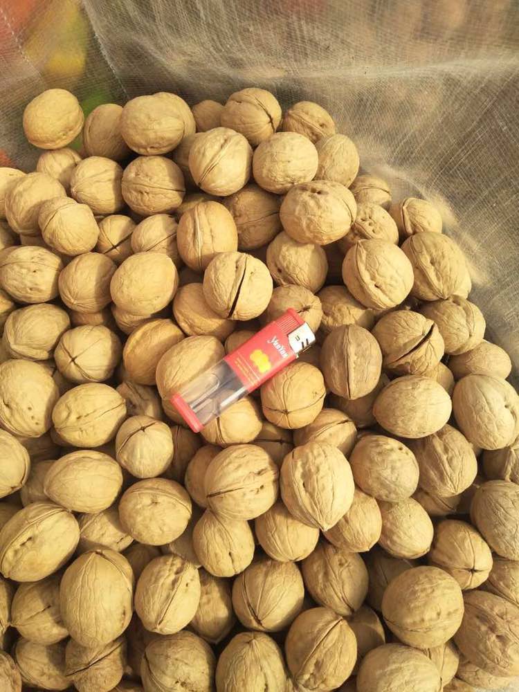 Орехи (грецкие, миндаль, фундук)